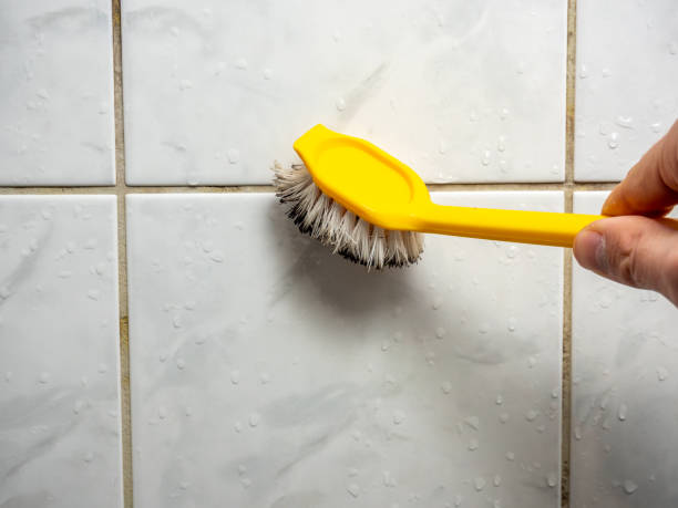Best Mold Removal Company Near Me  in Saxonburg, PA