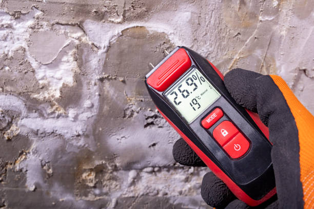 Best Professional Mold Removal  in Saxonburg, PA