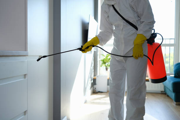 Best Crawl Space Mold Removal  in Saxonburg, PA