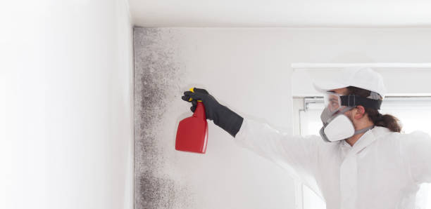 Best Mold Testing  in Saxonburg, PA