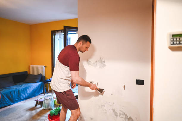 Saxonburg, PA Mold Removal Company