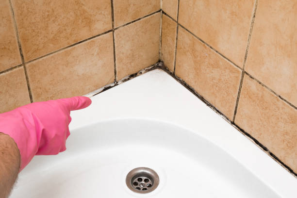 Best Water Damage Restoration  in Saxonburg, PA